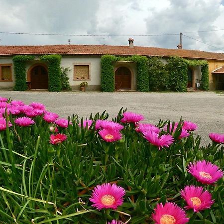 Agriturismo Monte Alzato Capalbio Extérieur photo