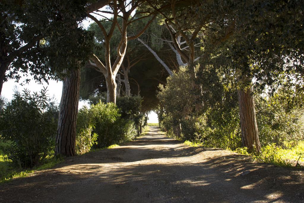 Agriturismo Monte Alzato Capalbio Extérieur photo